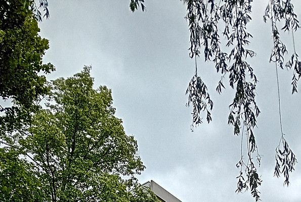 स्टुटगार्ट-मोहरिंगेन में स्वामित्व वाला अपार्टमेंट