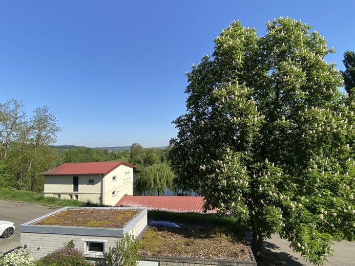 Idylle am Neckar