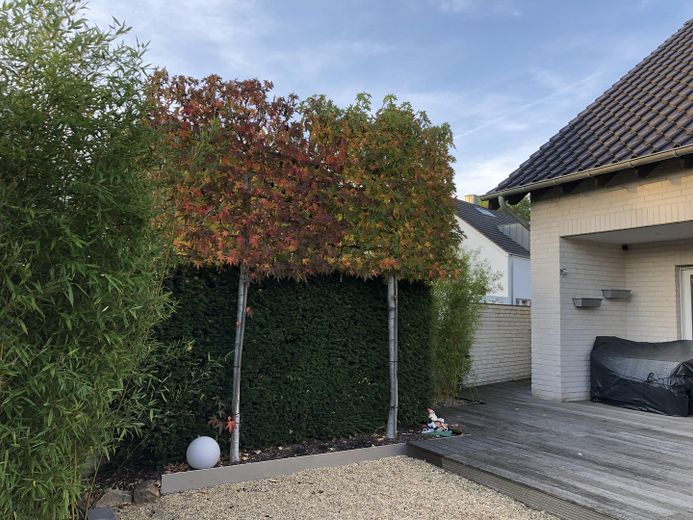 Familienhaus mit Charakter – großzügiges Wohnen auf höchstem Niveau in Mönchengladbach-Odenkirchen – Garten/ Terrasse 