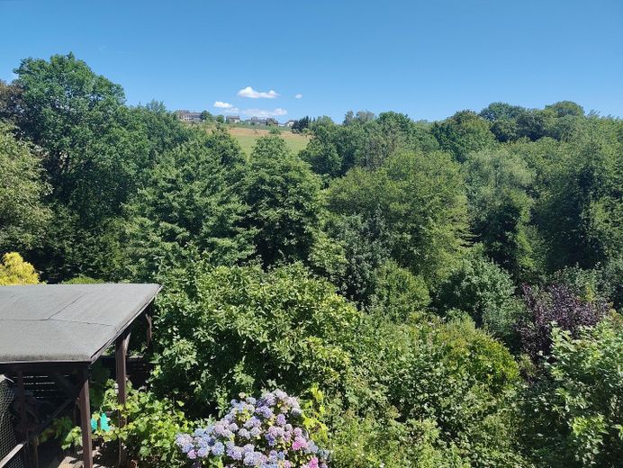 Casa da sogno con valore aggiunto: scoprire casa unifamiliare con appartamento indipendente a Melsbach! – Ausblick Richtung Grundschule