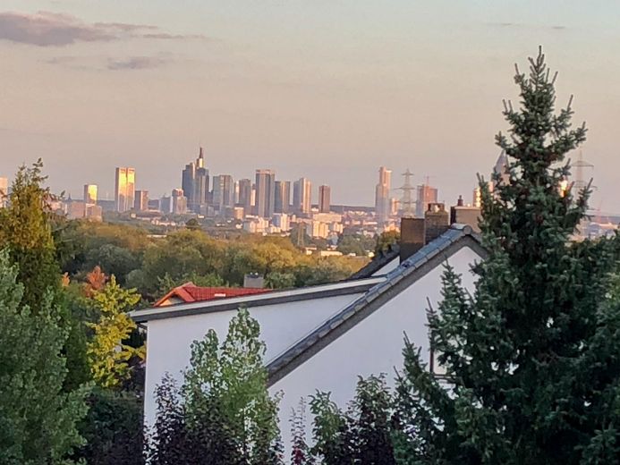 Sonniges Reihenendhaus mit Atelier - ruhige, familienfreundliche Lage, Garten & Blick über Skyline – Blick vom DG auf Frankfurt