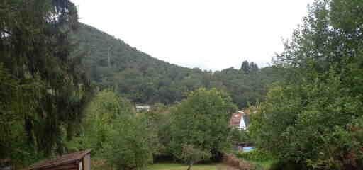 Bauplatz und Gartengrundstück