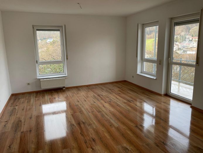 Moderne 3-Zi.-EG-Wohnung mit Blick übers Tal in Heppenheim-Kirschhausen – Wohnzimmer Ansicht 2