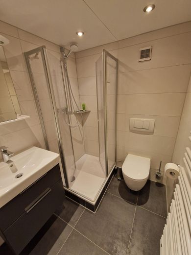Duschbad Einliegerwohnung EG
