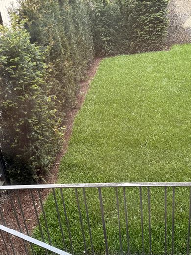 Luxuswohnung ,Hochparterre, mitten im Kreuzviertel – Gartenblick vom Balkon