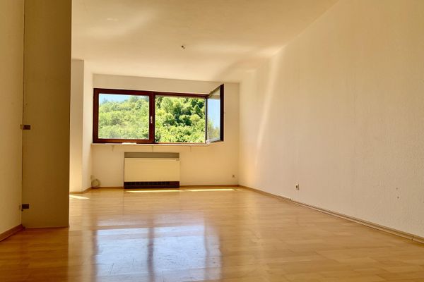 Ampio appartamento con 1 camera, grande balcone e vista da sogno sui vigneti