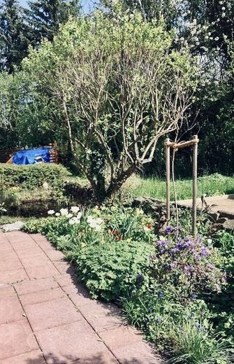 Blick in den Garten