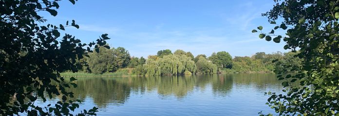 Baugrundstücke am See in Treuenbrietzen – Seeblick nach Osten