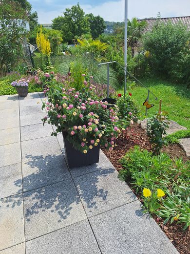 Gartenimpressionen