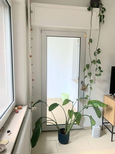 3,5 Zimmer Altbaudecken u Balkon. Küchenübernahme erw. – Foto 5