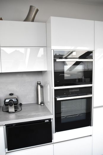 Backofen und Dampfgarer