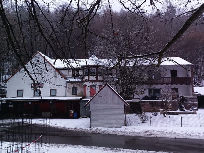 Außergewöhnliches Sanierungs- und Entwicklungsobjekt in ruhiger Lage nahe Kulmbachs Zentrum – Winterbild 1