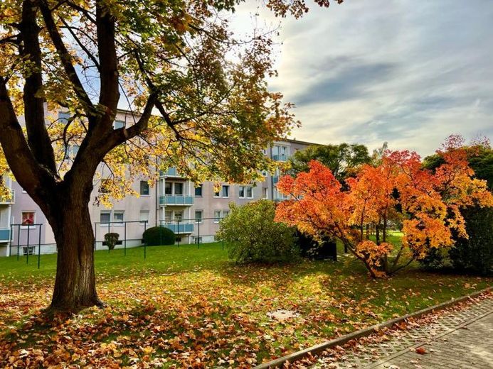 1 Monat Kaltmietfrei - Tolle 2-Raumwohnung in ruhiger Lage – Foto 1