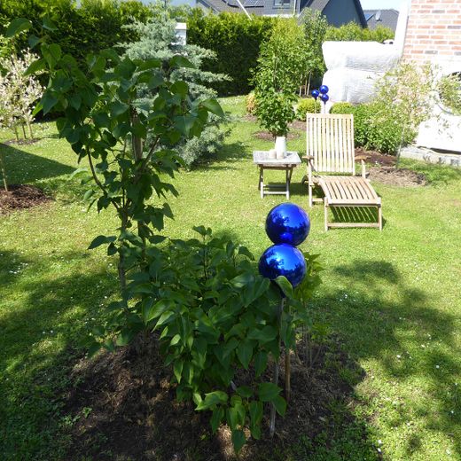 VON PRIVAT - STIL & CHARME! - Photovoltaik, Raumwunder, Garten, Gartenhaus... – gr. Garten / hintere DHH