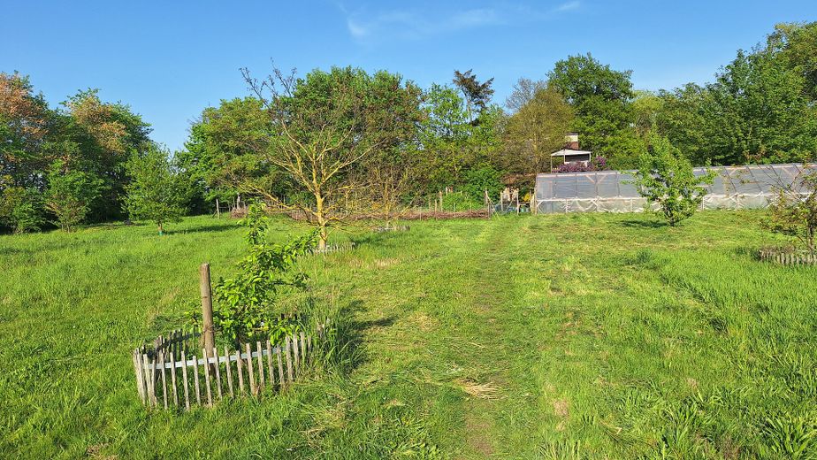 Obstwiese Nordseite