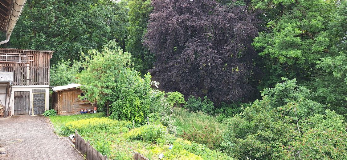 Wohnen am Schloßgarten im idyllischem Burgpreppach – Garten 