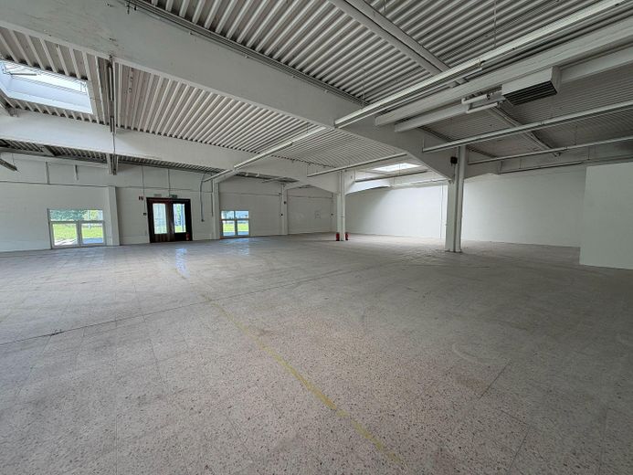 Lager-/Produktionshalle mit optimaler Erreichbarkeit (Kreuz B428/B65) – Foto 4