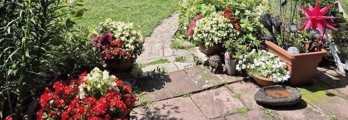 Działka w najlepszej lokalizacji w Gräfelfing – Blick in den Garten