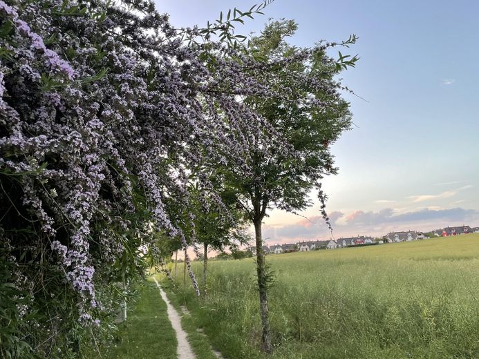 Traumhafte Terrassenwohnung in Ostseenähe mit kleinem Garten – Foto 21