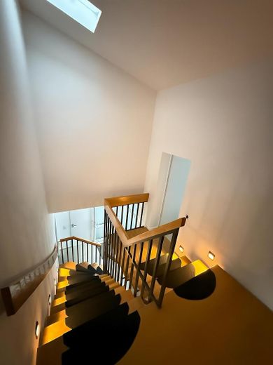 Trepenhaus