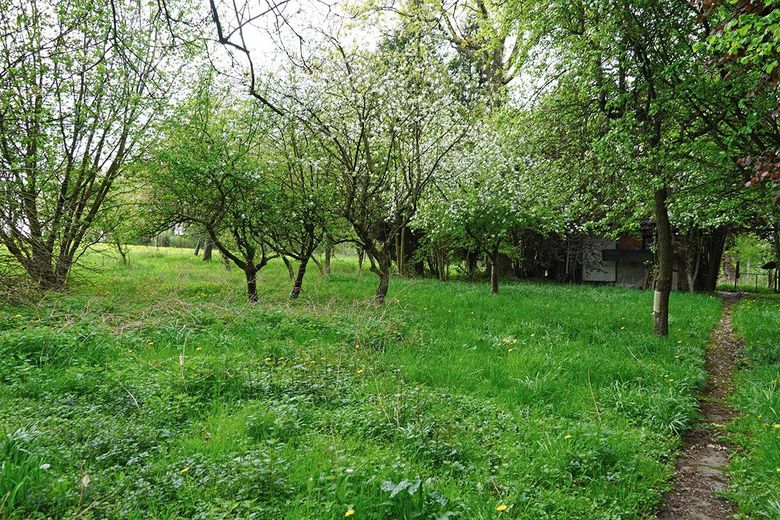 Doppelbungalow mit viel Land und Stallung – Wiese mit Bienenhaus