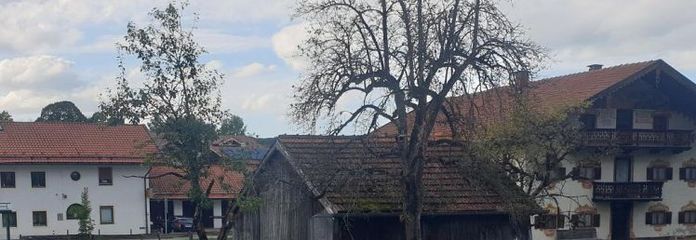 BESTE LAGE MIT ALTBESTAND UND BERGBLICK