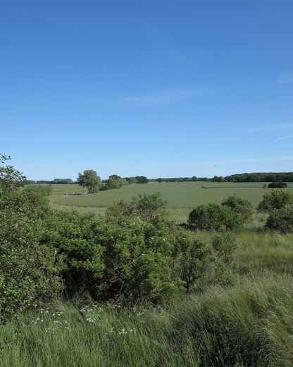 eines der letzten, erhaltenen SCHEUNENGUTSHÄUSER (mit 4-6 ha. Naturgrundstück) – Ausblick aus dem DG: Grdst.