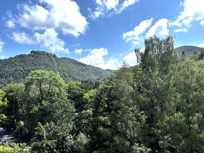 Blick vom Balkon zum Burgberg