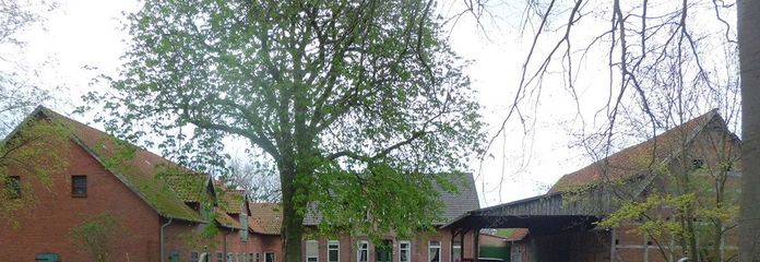 Стара ферма / селянський двір з господарськими будівлями та ділянкою на Weser