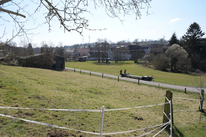 Wiesen