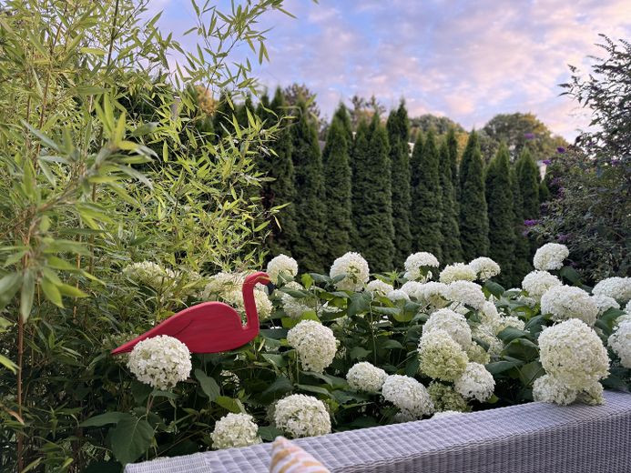 Casa unifamiliare progettata da un architetto con soleggiato orientamento sud-ovest – Garten