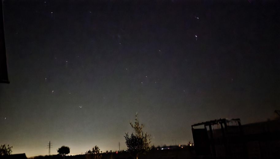 Притулок і симбіоз на Зостській бьорде. За садом — лише простір. – Фотографія 36