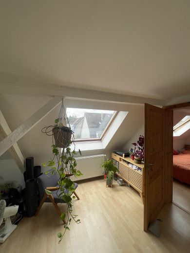 Gezellige 2-kamerwoning op de bovenste verdieping – Foto 11