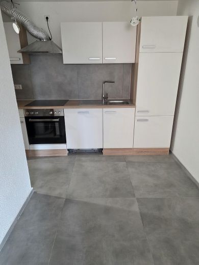 Frisch renovierte 1-Zimmer-Wohnung mit Wintergarten & Stellplatz in Ludwigsburg-Neckarweihingen – Foto 11