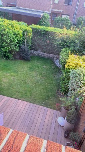 Energieeffizentes Mittelreihenhaus – Terrasse mit Garten