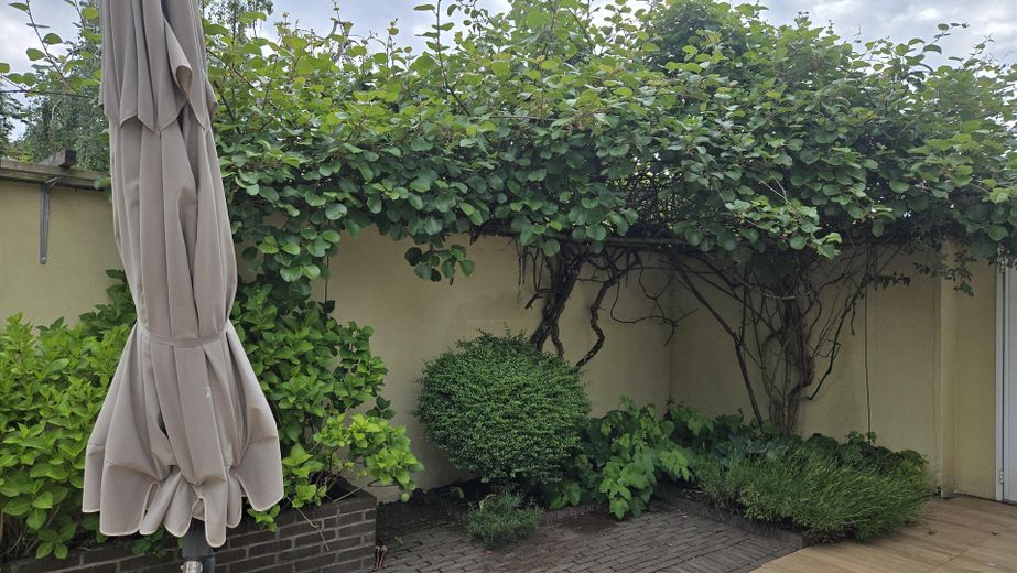Von Privat : Doppelhaushälfte mit Sonnigem Garten – Garten