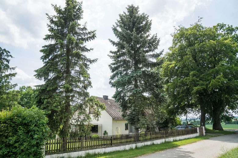 1,4 ha eigenes Land mit Wiese, Wald & Jagdhütte — Hunsrück-Landsitz in Einzellage – Foto 11