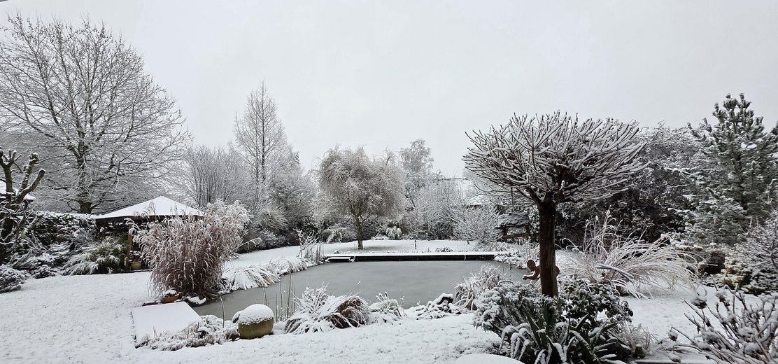 Perfektes Familiendomizil: Zentral wohnen, am Waldrand leben - provisionsfrei – Garten im Winter