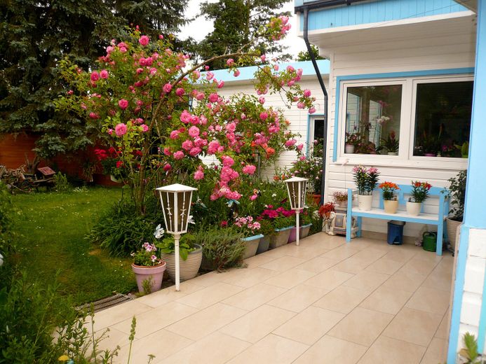 Idilliaca casa unifamiliare in stile bungalow con romantico giardino di rose – Foto 4