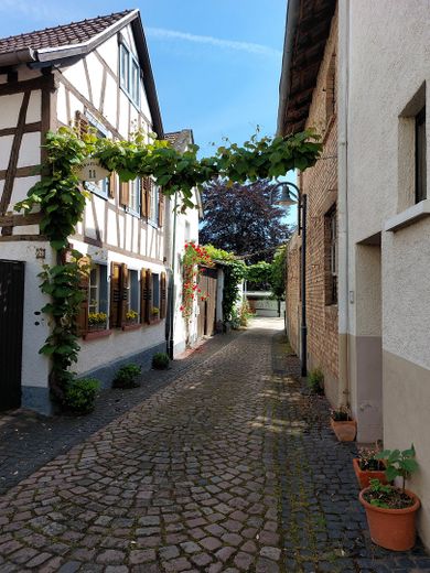 Ehemaliger Vierseitenhof mit Hufschmiede PROVISIONSFREI in Langenlonsheim zu verkaufen – Gasse mit Hufschmiede
