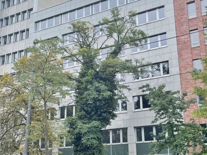 KLE!N - Provisionsfrei - flexible Büroetage – Foto 1