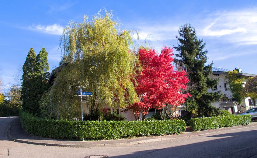 !!Achtung Preis reduziert!! Traumhaftes Familienanwesen in Köndringen-Teningen! – Foto 20