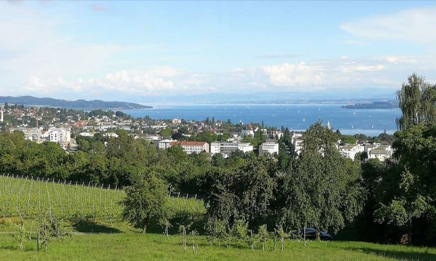 Einmalige Aussicht über den Bodensee – Traumhafte Ausblicke und herrliche Naturlandschaft