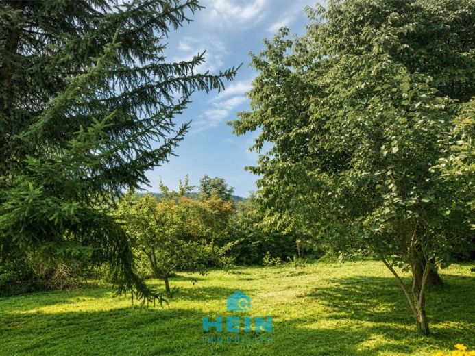 قطعتان من الأرض – منزل واحد مع مساحة رحبة استثنائية في غورنسدورف – الصورة 1