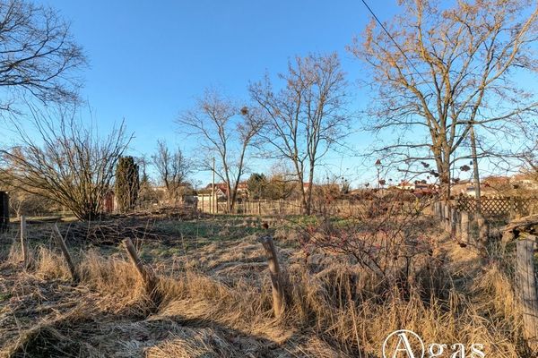 Terreno da sogno a Beelitz - libero da vincoli di costruttore