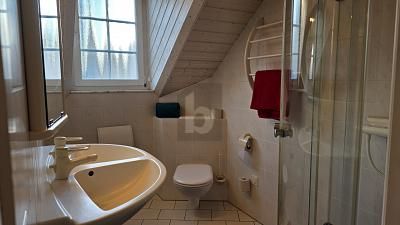 NIERUCHOMOŚĆ INWESTYCYJNA 36 000 EUR ROCZNIE W OTTMARSHEIM – 1769028761_428e47.jpg