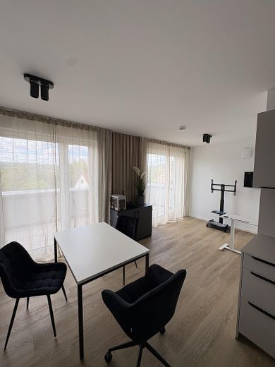 İlk kiralama: Mobilyalı, seçkin penthouse 1 odalı daire, yüksek kaliteli yeni binada – Foto 4