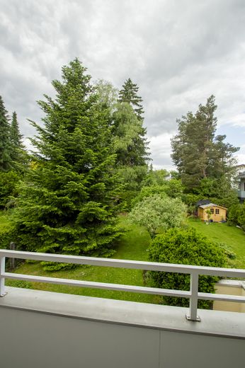 Blick auf den Garten