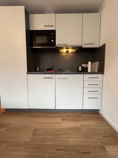 Furnished studio apartment - Himpfelhof – Küche