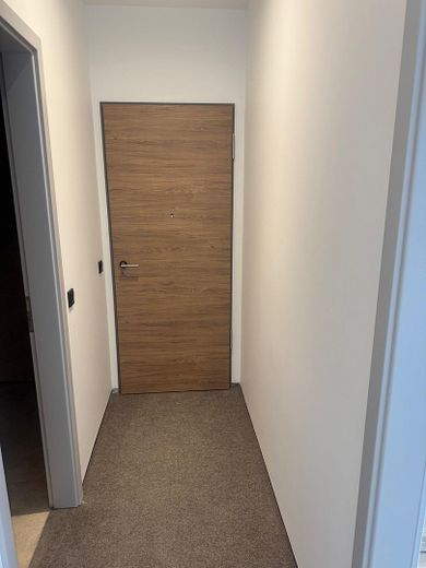 3-Zimmer-Wohnung, Erstbezug, energieeffizient, barrierefrei (Typ 1) – Foto 8